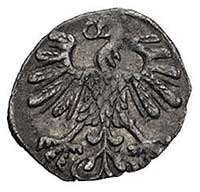 denar 1559, Wilno, Kurp. 646 (R3), Gum. 592, patyna