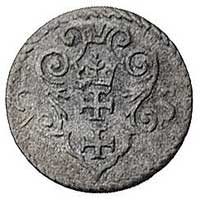 denar 1595, Gdańsk, Kurp. 2205 (R2), Gum. 1368