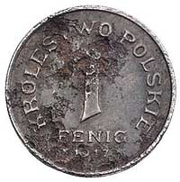 1 fenig 1917/F, Stuttgart, Parchimowicz 4, korozja, bardzo rzadka moneta