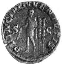 Sesterc, Aw: Popiersie i napis C IVL VERVS MAXIMUS CAES, Rw: Maximus stojący z laską i dwoma sztan..