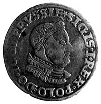 trojak 1534, Toruń, j.w., Kop. II. 1. -RR-, H-Cz