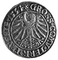 grosz 1534, Toruń, j.w., Kop. II. 5, H-Cz. nie n