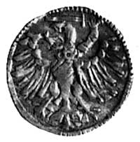 denar b. d., Gdańsk, Aw: Herb Gdańska, Rw: Orzeł Kop. III. 1. -RR-, H-Cz. 431 R2, T. 18.