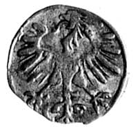 denar 1550, Wilno, Aw: Orzeł, Rw: Pogoń, Kop. I.