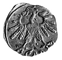 denar 1563, Wilno, j.w., Kop.I. 17., -RR-, H-Cz.