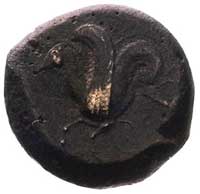 SYCYLIA- Syrakuzy, AE-litra (ew. trias), Aw: Głowa Ateny w hełmie korynckim w lewo, Rw: Konik mors..