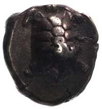 AEGINA, stater 445-431, Aw: Żółw lądowy, Rw: Pię