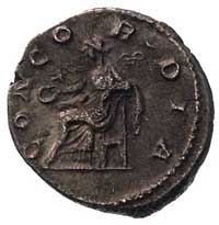 Julia Paula żona Elagabala, denar, Aw: Popiersie
