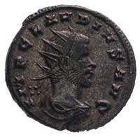Klaudiusz II Gocki 268-270, antoninian, Aw: Popiersie w koronie radialnej w prawo i napis w otoku ..