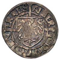 Albrecht Hohenzollern 1511-1525, grosz 1521, Aw: Orzeł brandenburski w tarczy na tle dużego krzyża..