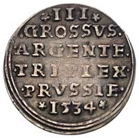 trojak 1534, Toruń, Kurp. 360 (R3), Gum. 535, T. 18, rzadka moneta z efektownym renesansowym popie..