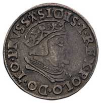 trojak 1538, Gdańsk, odmiana z napisem PRVSS, Kurp. 514 (R1) interpunkcja CIVI · / GEDANEN · , Gum..