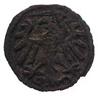 denar 1539, Gdańsk, Kurp. 389 (R4), Gum. 543, T. 20, egzemplarz ze zbioru Chomińskiego