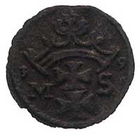 denar 1539, Gdańsk, Kurp. 389 (R4), Gum. 543, T. 20, egzemplarz ze zbioru Chomińskiego