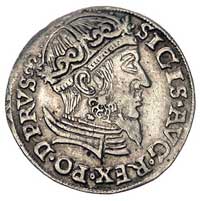 trojak 1557, Gdańsk, odmiana z dużą głową króla,