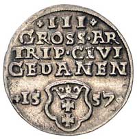 trojak 1557, Gdańsk, odmiana z dużą głową króla, Kurp. 558 (R2), Gum. 646, T. 3