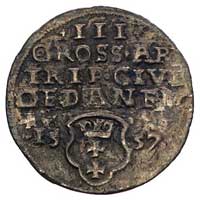 trojak 1557, Gdańsk, odmiana z małą głową króla, Kurp. 558 (R2), Gum. 646, T. 3, ciemna patyna