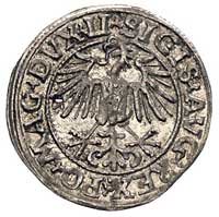 półgrosz 1549, Wilno, Kurp. 674 (R), Gum. 598, pięknie zachowana moneta