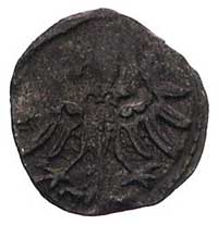 denar 1554, Gdańsk, Kurp. 925 (R3), Gum. 640, T. 8, ciemna patyna