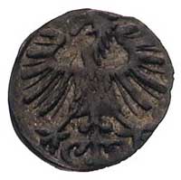 denar 1557, Wilno, Kurp. 644 (R3), Gum. 592, egzemplarz ze zbioru Chomińskiego
