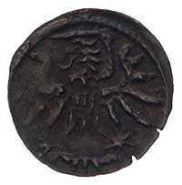 denar 1557, Elbląg, Kurp. 991 (R4), Gum. 654, T. 7, egzemplarz ze zbioru Chomińskiego, ciemna patyna