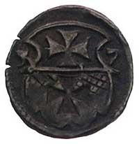 denar 1557, Elbląg, Kurp. 991 (R4), Gum. 654, T.