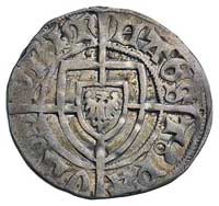 Paweł von Russdorf 1422-1441, szeląg, Aw: Tarcza wielkiego mistrza i napis, Rw: Tarcza zakonna i n..