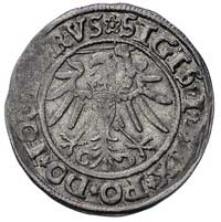 grosz 1535, Elbląg, drobne niedobicie mennicze