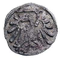 denar 1546, Gdańsk, T. 8, rzadki