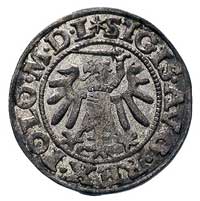 szeląg 1549, Gdańsk, T. 15, rzadka i ładnie zachowana moneta