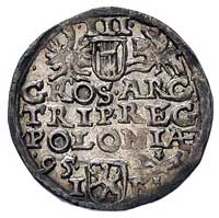 trojak 1595, Wschowa, znak dzierżawcy mennicy kończy napis na awersie, stara patyna