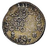 trojak 1595, Wschowa, data za głową króla i mały znak dzierżawcy mennicy na rewersie