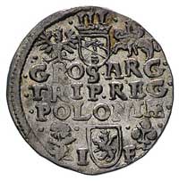 trojak 1596, Wschowa, końcówka daty przy głowie króla, duży znak róży na rewersie