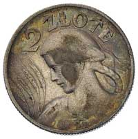 2 złote 1925, Londyn, kropka po dacie, Parchimowicz 109 d, przebarwienia reliefu, patyna