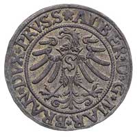 grosz 1533, Królewiec, Bahr. 1140, Neumann 45, ładnie zachowany egzemplarz, patyna