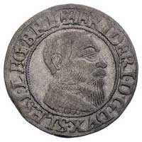 grosz 1543, Brzeg, odmiana z małą głową księcia, F.u.S. 1360, patyna