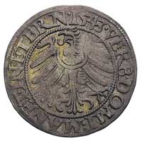 grosz 1543, Brzeg, odmiana z małą głową księcia,