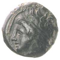 MACEDONIA, Filip II 359-336 pne, AE-18, Aw: Głowa Apollina w lewo, Rw: Nagi młodzieniec na koniu w..