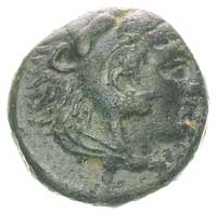 MACEDONIA, Aleksander 336-323 pne, AE-18, Aw: Głowa Heraklesa w skórze lwa w prawo, Rw: Poziomo ma..