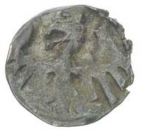 denar koronny, Aw: Korona, a nad nią dwa kółka, Rw: Orzeł, Kubiak-, moneta dużej wagi 0.49 g, patyna