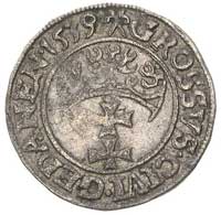 grosz 1539, Gdańsk, drobna wada blachy na awersi