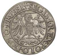 grosz 1540, Elbląg, na awersie napis PRVSSI, ład