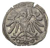 denar 1546, Gdańsk, T. 8, rzadki i ładny