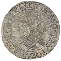 grosz na stopę litewską 1559, Wilno, Ivanauskas 