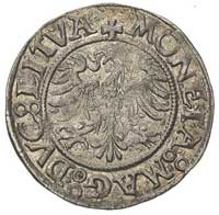 półgrosz bez daty, Wilno, Ivanauskas 452:68, T. 60, bardzo rzadka i ładnie zachowana moneta