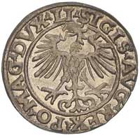 półgrosz 1553, Wilno, małe cyfry w dacie, Ivanauskas 482:75, T. 5, ładna i rzadka moneta
