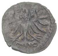 denar 1554, Gdańsk, T. 8, ciemna patyna