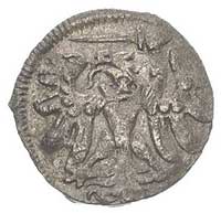 denar 1557, Gdańsk, T. 10