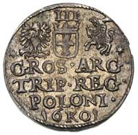 trojak 1601, Kraków, popiersie króla z wysmukłą głową w prawo, patyna