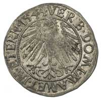 grosz 1544, Legnica, F.u.S. 1363, Bahr. 1262